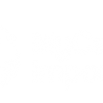 Pegasus Personal Finance | mycarimport-d