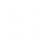 Pegasus Personal Finance | chart-d